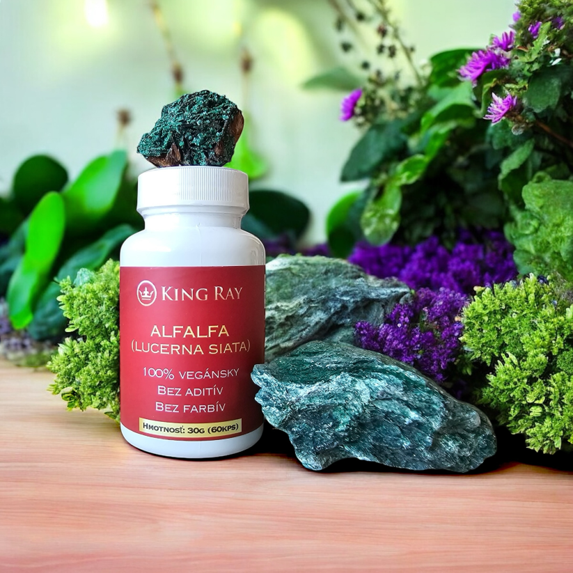 ALFALFA (lucerna siata) 60kps