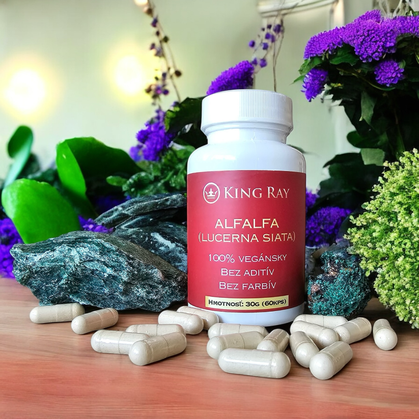 ALFALFA (lucerna siata) 60kps