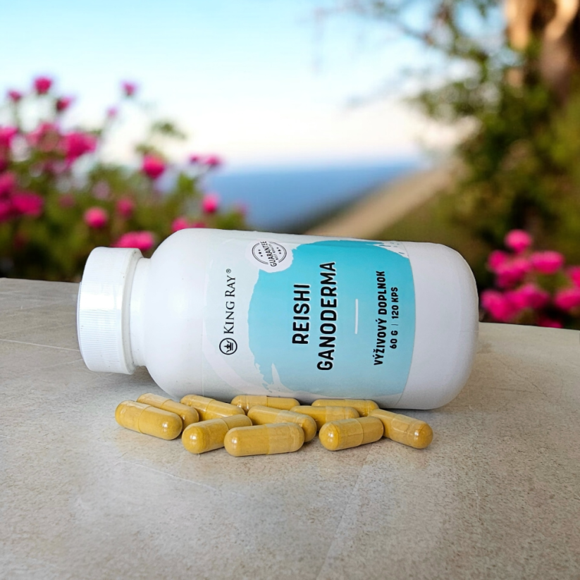 Reishi Ganoderma 120kapsule