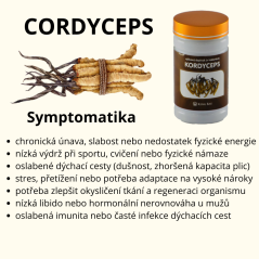 Cordyceps sinensis 90 kps x 500mg 1 balení