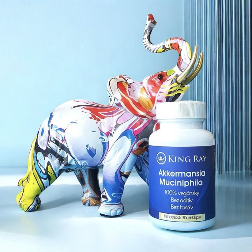 Akkermansia Muciniphila 60kps