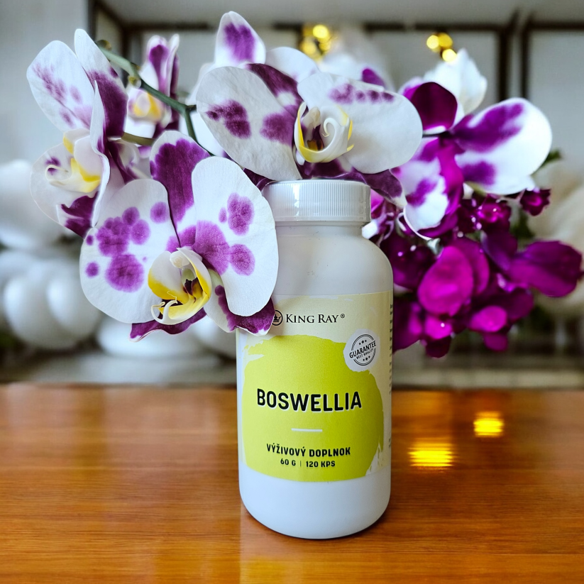 Boswelia seratta extrakt 120kps x 450mg - rostlinný extrakt pro nutriční podporu pohybového komfortu a kloubů
