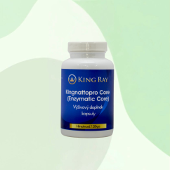 Natto Pro Core 120kps - enzymy - trávení