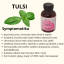 Organická Tulsi (bazalka posvátná) 120kps x 450mg