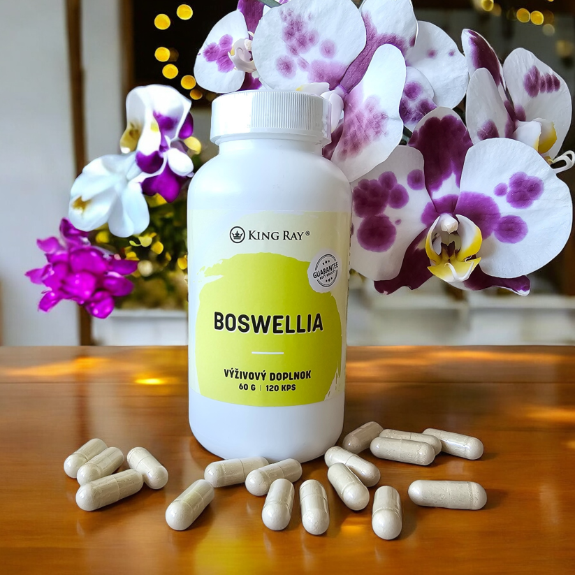 Boswelia seratta extrakt 120kps x 450mg - rostlinný extrakt pro nutriční podporu pohybového komfortu a kloubů