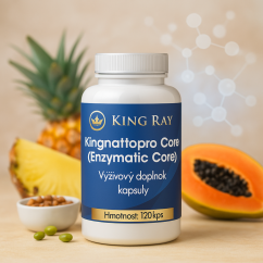 Natto Pro Core 120kps - enzymy - trávení