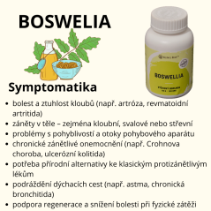 Organická Boswelia seratta extrakt 120kps x 450mg