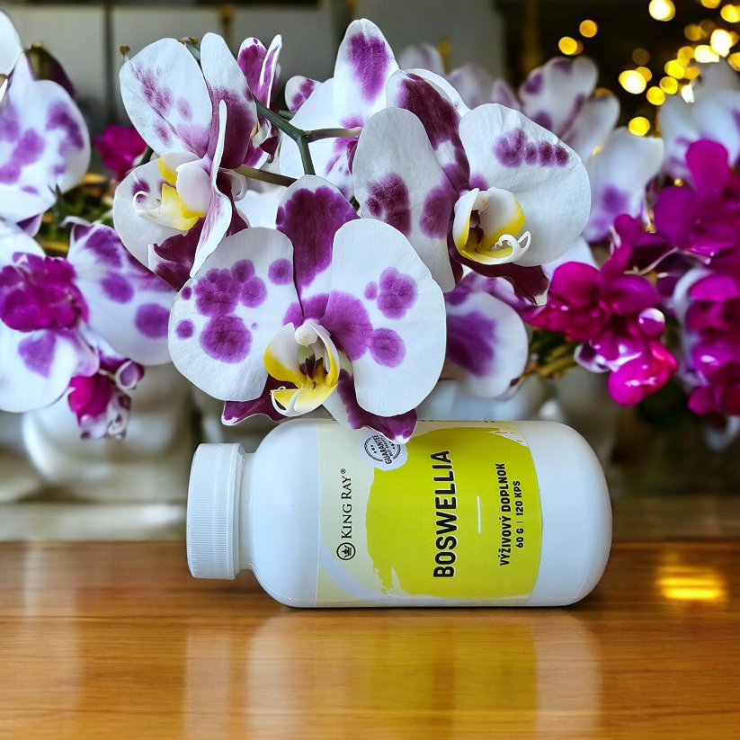 Boswelia seratta extrakt 120kps x 450mg - rostlinný extrakt pro nutriční podporu pohybového komfortu a kloubů