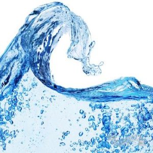 Aquaxyl